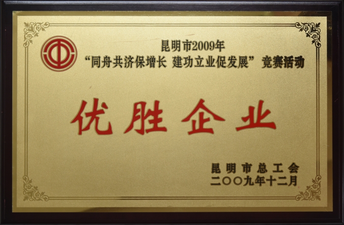 昆明市(shì)2009年 同舟共濟保增長 建功立業(yè)促發展 優勝企業(yè)